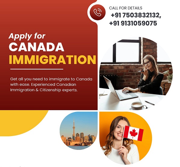 Canada immigration system may become world-class with a digital revolution.